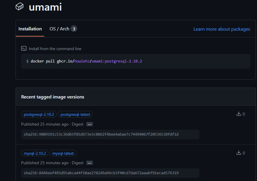 解决-umami-api延迟问题-package界面.png